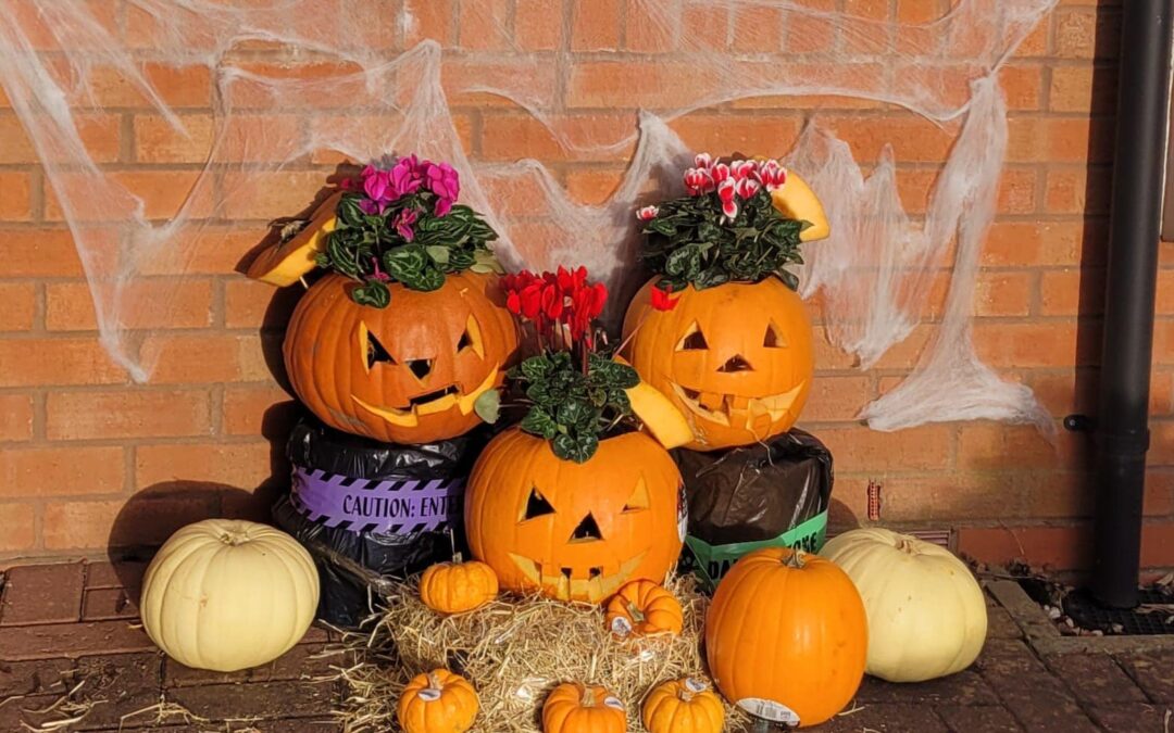 Halloween preparations