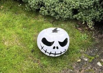 Halloween parties galore across Jaffray