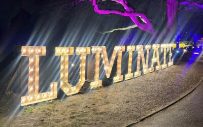 Luminate at the Botanical Gardens