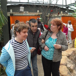 VLUU P1200 / Samsung P1200