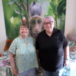 SAMSUNG CAMERA PICTURES